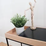 Garden's *