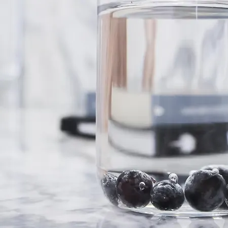 Garden's Apartamento *